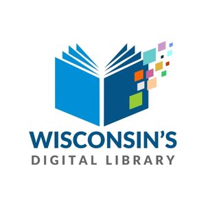 Wisconsin digital library survey